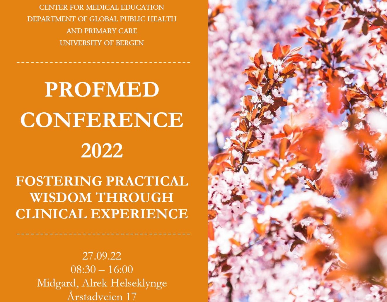 profmed-conference-2022-fostering-practical-wisdom-through-clinical